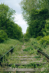 railway in the forest