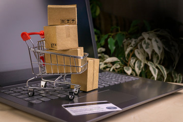 online shopping concept. little shopping cart, boxes, colorful bags, bank card, dollars stand on...
