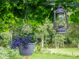 Pot of purple flowers and vintage lantern hanging outdoors in sunny garden in Sweden