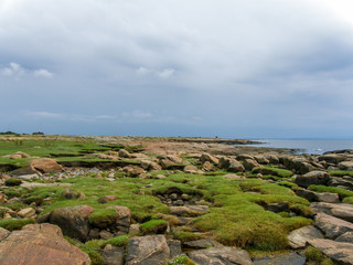 The Baltic coast by Gullbranna, Halmstad, Sweden in a stormy day