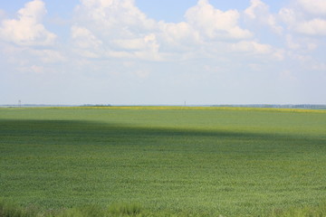 Fototapeta premium Fields and hills background