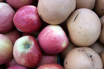 fruits display on the rack to sale