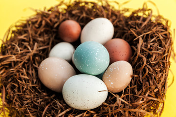 Closeup of Easter eggs in the nest on yellow background, traditional decoration for spring celebration