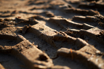 Wheel marks on the dirt.
