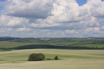 Fields and hills background