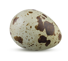Quail Egg Whole Isolated. Detailed Close Up of Small Quail Egg on White Background