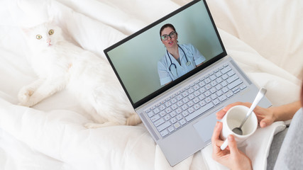 Unrecognizable girl watching a video with medical advice on a laptop. A woman conducts an online conversation with a doctor on a webcam. The cat lies in the legs of a cold owner.