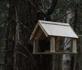 birdhouse weighs on a branch in the forest