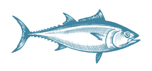Tuna hand drawn illustrations in retro style. Vector logo template. Can be use for restaurant menu or fish shop market.