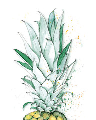 Aquarell | Watercolor | Ananas | Illustration