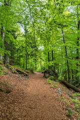 Wandern, Wanderwege im Bayerischen Wald bei Bodenmais | Rißloch Urlaub