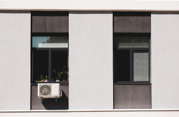 Fototapeta na wymiar modern building with two windows and flowerpots on the windowsill