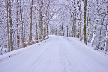 Country winding road in the winter in the Swedish woodlands
