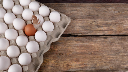 Many of white chicken eggs, one egg brown and small feather near with it  in tray on an old wooden table.