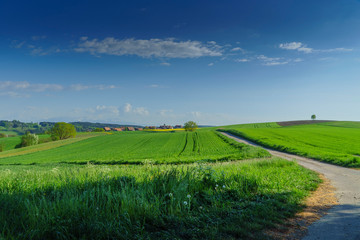 paysage rural avec des collines dans une campagne au printemps avec ses champs de colza et autres cultures très colorées dans une ambiance typiquement suisse
