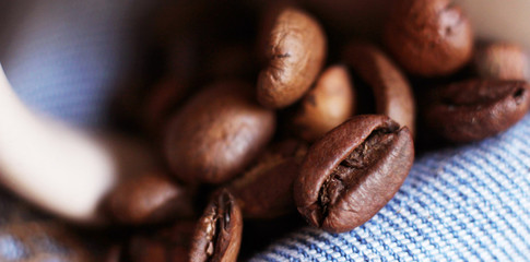 Closeup of arabica coffee beans