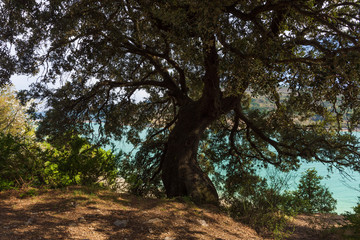 Obraz premium Yesa reservoir in Navarra, Spain