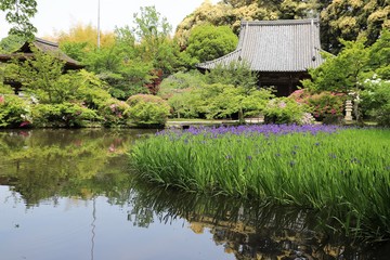 花の寺　長岳寺