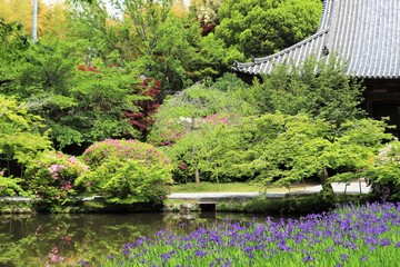 Fototapeta premium 花の寺 長岳寺