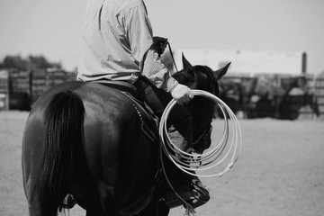 Western rodeo lifestyle, horseback riding with rope for roping practice in black and white. - obrazy, fototapety, plakaty