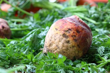 Rutabaga