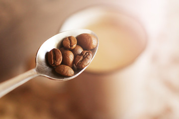 coffee beans on the spoon