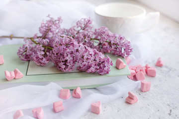 Lay Flat book, the branch of lilac, marshmallow in the shape of a heart. Postcard