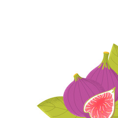 Template background with organic vector figs