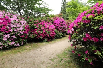 花の寺　長岳寺