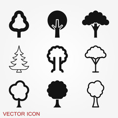 Tree vector icon, trees symbol isolated on background.