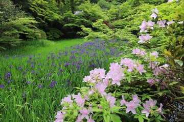 花の寺　長岳寺