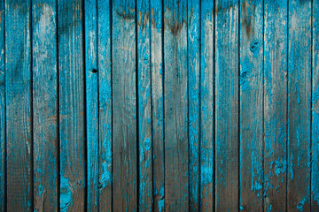 texture of old peeling boards painted with blue paint