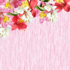 Beautiful floral background of Alstroemeria and Jasmine. Isolated
