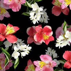 Beautiful floral background of Alstroemeria and Jasmine. Isolated