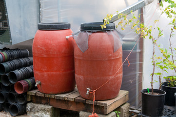 Rain barrel garden scene with plastic plant pots nearby and a rain spout to catch rainwater.  Great for environmental, ecology, conservation topics.