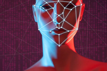 The face of a mannequin with control points. Facial recognition system. Biometric identification. The use of biometric information. Simplification of identification of a person.
