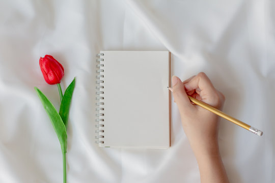 Top view young woman holding pencil with blank paper notebook with tulup flower on white silk fabric background.Spring and summer. 