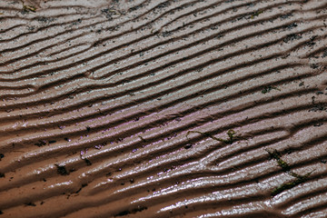 Ocean shore, sand on the sea coast. Ripples on the sand.