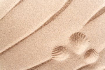 Fototapeta na wymiar summer beach sand background with mark of shell, vacation and travel concept, Flat lay top view copy space, Minimal exotic concept. Creative layout of sand waves.
