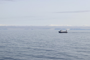 archipel du Svalbard (Spitzberg) en Norv&egrave;ge