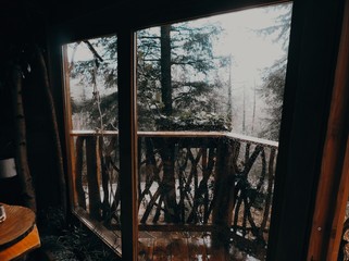 Vistas de un bosque desde el interior de una casa en un árbol, País Vasco