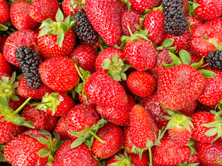 Fresh ripe perfect strawberry - Food Background. Crate of organic farm strawberries at farmers market.
