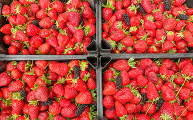 Fresh ripe perfect strawberry - Food Background. Crate of organic farm strawberries at farmers market.