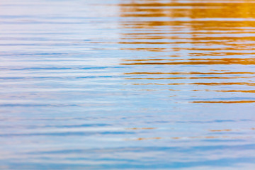 The surface of the water in the pond as an abstract background.