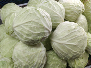 Obraz premium Cabbage on the shelves in the market.