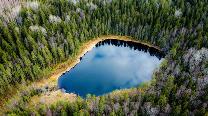 Small lake in the forest.