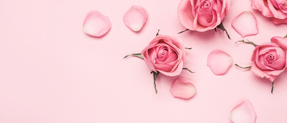 Floral monochrome composition of rose buds and petals on pink banner, copy space