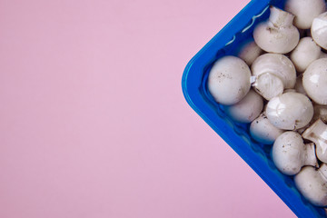 In the corner of the frame is a blue container. In the container there are small mushrooms. Mushrooms are found under vacuum for better storage. There is a free space for the inscription.