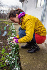 Picking snowdrops