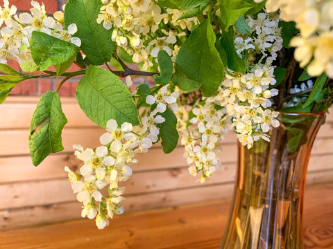 White bird cherry in a glass vase on a wooden table against a brick wall.